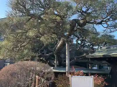 神宮寺の{uncategorized: "未分類", other: "その他", undefined: "問題あり", building: "その他建物", grave: "お墓", sacred_gate: "鳥居", guardian: "狛犬", statue: "像", buddha: "仏像", history: "歴史", nature: "自然", garden: "庭園", animal: "動物", pagoda: "塔", temizu: "手水舎", mountain_gate: "山門・神門", sanctuary: "本殿・本堂", subordinate: "末社・摂社", art: "芸術", scenery: "景色", jizo: "地蔵", ema: "絵馬", goshuin: "御朱印", omikuji: "おみくじ", items: "授与品その他", amulet: "お守り", goshuincho: "御朱印帳", eats: "食事", festival: "お祭り", votive_dance: "神楽", shichigosan: "七五三参", wedding: "結婚式", experience: "体験その他", initially: "初詣", around: "周辺", anti_infection: "感染症対策"}
