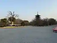 東寺(教王護国寺)の庭園