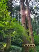 御岩神社の自然
