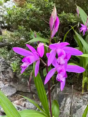 開成山大神宮(福島県)