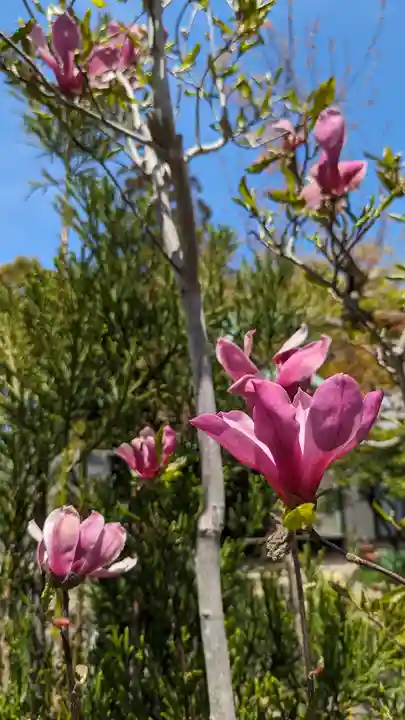 惠心院(京都府)
