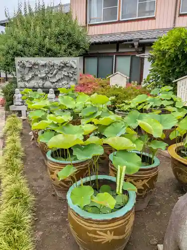 長善寺(東京都)