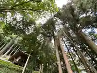 子檀嶺神社(長野県)