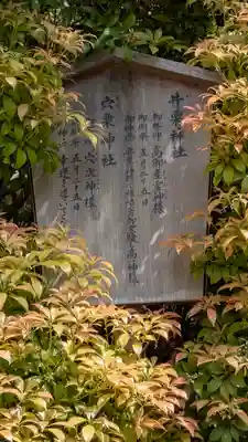 春日大社(奈良県)