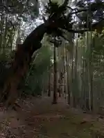 愛宕神社(千葉県)