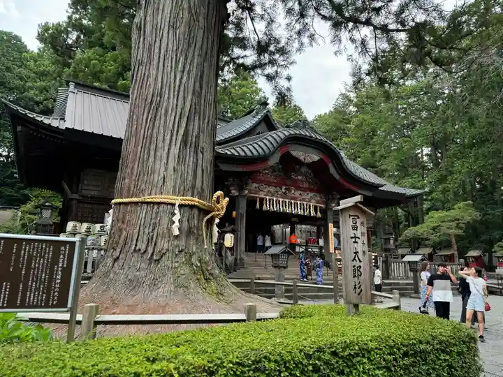 北口本宮冨士浅間神社(山梨県)