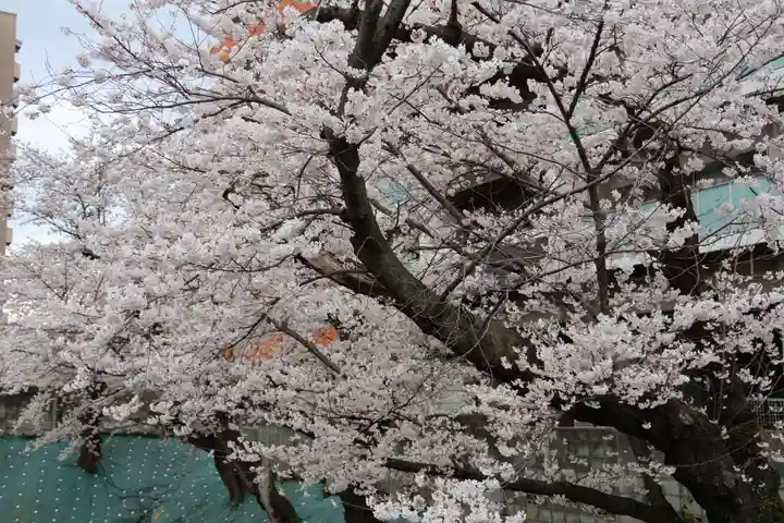愛宕神社の周辺