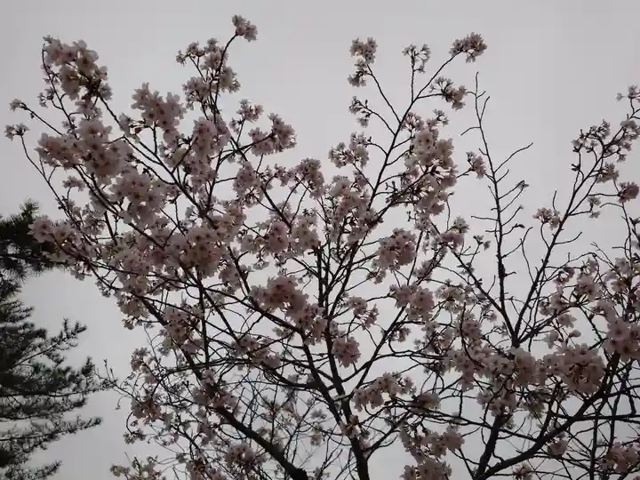 厳島神社(広島県)