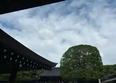 明治神宮(東京都)