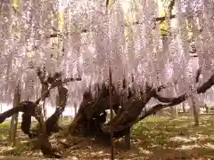 長泉寺の庭園