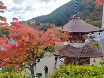 善峯寺(京都府)