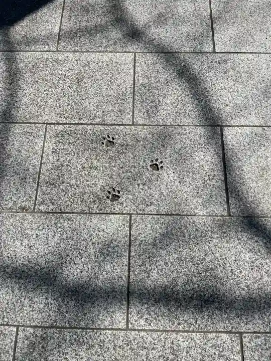 お松大権現の{uncategorized: "未分類", other: "その他", undefined: "問題あり", building: "その他建物", grave: "お墓", sacred_gate: "鳥居", guardian: "狛犬", statue: "像", buddha: "仏像", history: "歴史", nature: "自然", garden: "庭園", animal: "動物", pagoda: "塔", temizu: "手水舎", mountain_gate: "山門・神門", sanctuary: "本殿・本堂", subordinate: "末社・摂社", art: "芸術", scenery: "景色", jizo: "地蔵", ema: "絵馬", goshuin: "御朱印", omikuji: "おみくじ", items: "授与品その他", amulet: "お守り", goshuincho: "御朱印帳", eats: "食事", festival: "お祭り", votive_dance: "神楽", shichigosan: "七五三参", wedding: "結婚式", experience: "体験その他", initially: "初詣", around: "周辺", anti_infection: "感染症対策"}