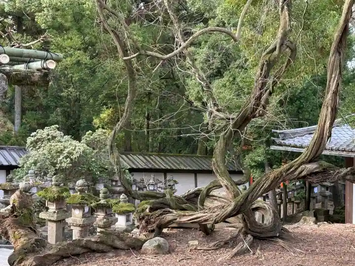 春日大社の{uncategorized: "未分類", other: "その他", undefined: "問題あり", building: "その他建物", grave: "お墓", sacred_gate: "鳥居", guardian: "狛犬", statue: "像", buddha: "仏像", history: "歴史", nature: "自然", garden: "庭園", animal: "動物", pagoda: "塔", temizu: "手水舎", mountain_gate: "山門・神門", sanctuary: "本殿・本堂", subordinate: "末社・摂社", art: "芸術", scenery: "景色", jizo: "地蔵", ema: "絵馬", goshuin: "御朱印", omikuji: "おみくじ", items: "授与品その他", amulet: "お守り", goshuincho: "御朱印帳", eats: "食事", festival: "お祭り", votive_dance: "神楽", shichigosan: "七五三参", wedding: "結婚式", experience: "体験その他", initially: "初詣", around: "周辺", anti_infection: "感染症対策"}