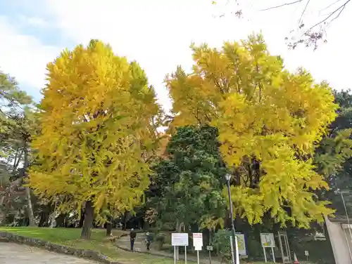 武蔵一宮氷川神社の庭園