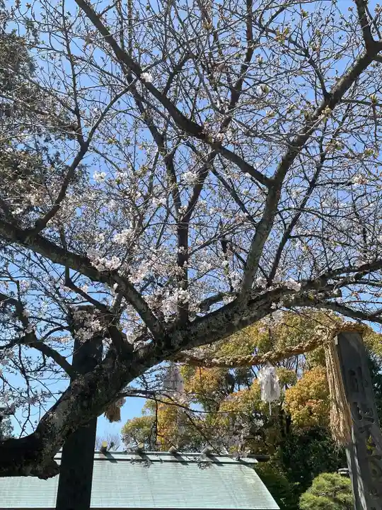 伊勢山皇大神宮(神奈川県)