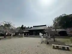 吉野神宮(奈良県)