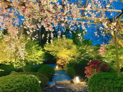 東寺（教王護国寺）の周辺