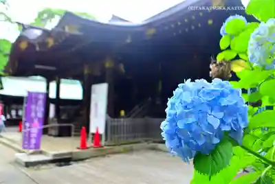 渋谷氷川神社(東京都)