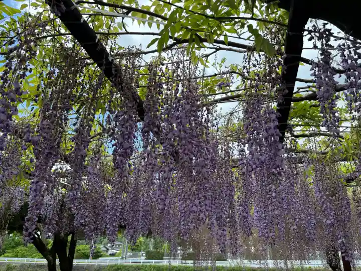 和氣神社(和気神社)(岡山県)