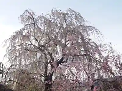 常泉寺(神奈川県)