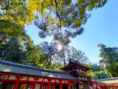 石上神宮の建物その他