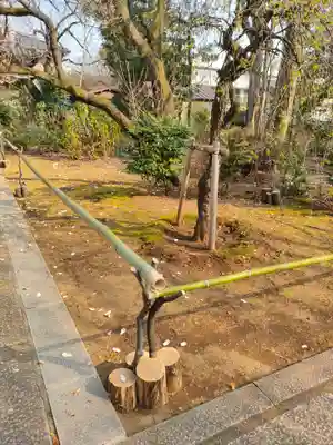 鬼子母神堂　(法明寺）(東京都)