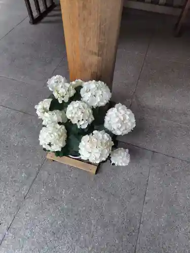 阿佐ヶ谷神明宮(東京都)