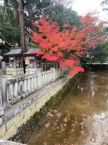 多賀大社(滋賀県)
