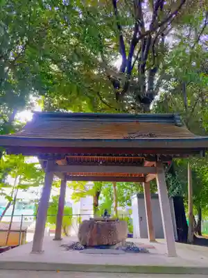 両社宮神社(宮町)の手水舎