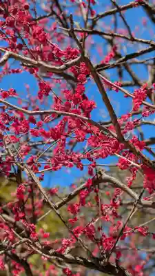 薭田神社(東京都)