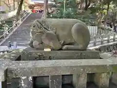 枚岡神社の狛犬