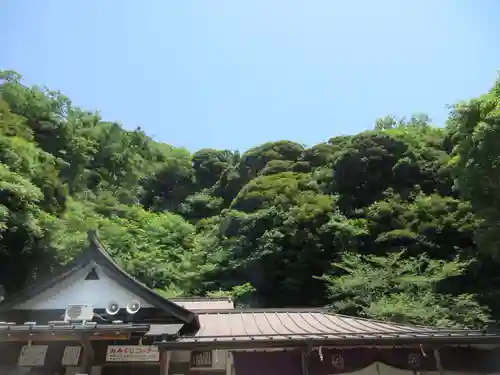 銭洗弁財天宇賀福神社(神奈川県)
