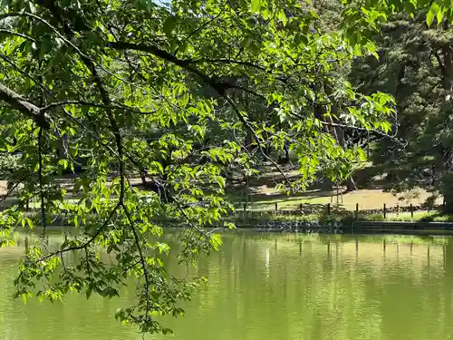 武蔵一宮氷川神社(埼玉県)