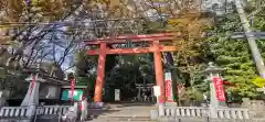 世田谷八幡宮の鳥居