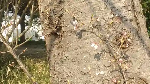比佐豆知神社(三重県)