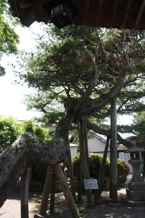 稱名寺(滋賀県)