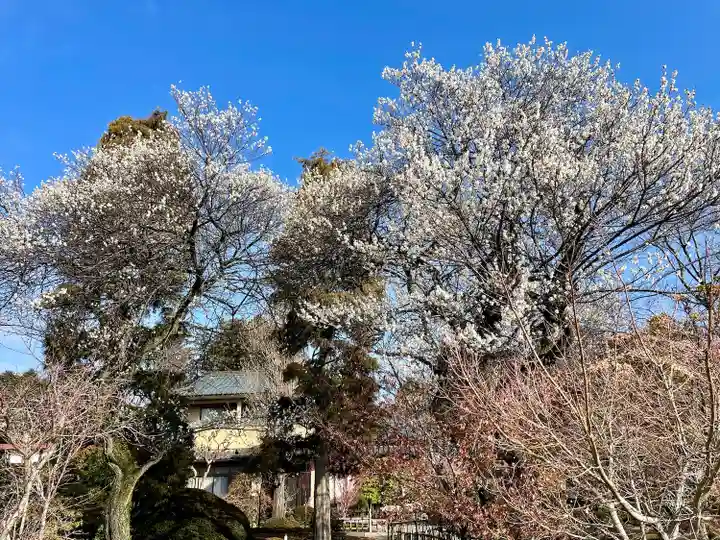 台林寺(栃木県)