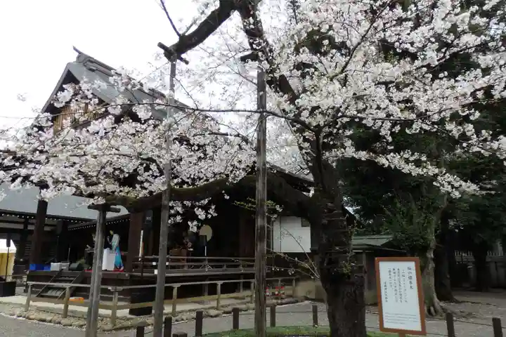 靖國神社の自然