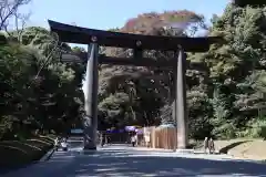 明治神宮の鳥居