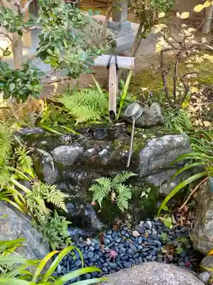 来迎寺(井戸来迎寺・紫雲山来迎寺)(京都府)