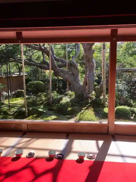 宝泉院(京都府)