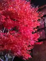 大山阿夫利神社(神奈川県)