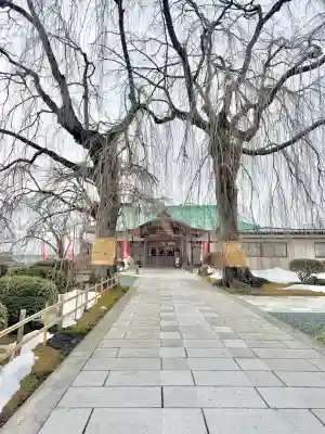 身照寺の{uncategorized: "未分類", other: "その他", undefined: "問題あり", building: "その他建物", grave: "お墓", sacred_gate: "鳥居", guardian: "狛犬", statue: "像", buddha: "仏像", history: "歴史", nature: "自然", garden: "庭園", animal: "動物", pagoda: "塔", temizu: "手水舎", mountain_gate: "山門・神門", sanctuary: "本殿・本堂", subordinate: "末社・摂社", art: "芸術", scenery: "景色", jizo: "地蔵", ema: "絵馬", goshuin: "御朱印", omikuji: "おみくじ", items: "授与品その他", amulet: "お守り", goshuincho: "御朱印帳", eats: "食事", festival: "お祭り", votive_dance: "神楽", shichigosan: "七五三参", wedding: "結婚式", experience: "体験その他", initially: "初詣", around: "周辺", anti_infection: "感染症対策"}