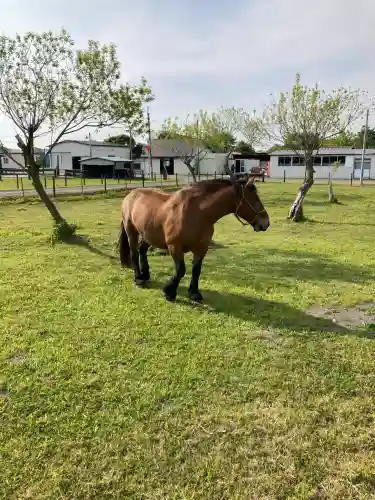 大楽毛神社(北海道)