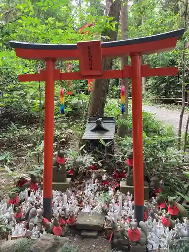 白笹稲荷神社の鳥居