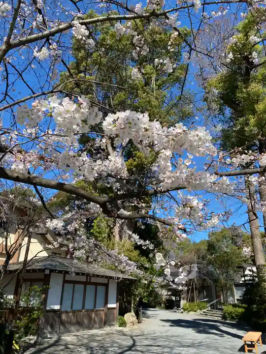 阿佐ヶ谷神明宮の自然