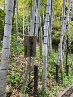 森浅間神社(神奈川県)