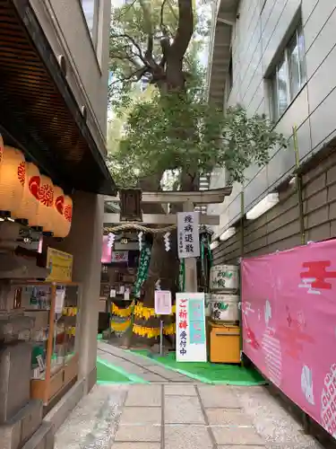 少彦名神社の鳥居