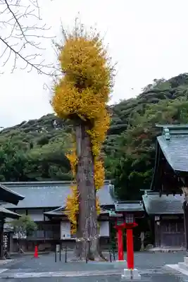 宗像大社中津宮(福岡県)