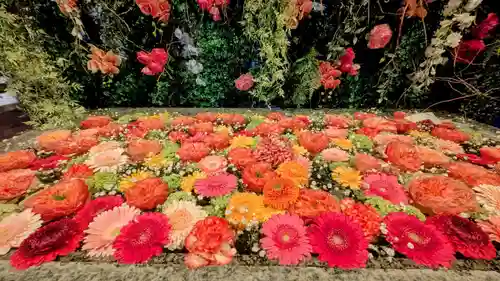 金蛇水神社(宮城県)